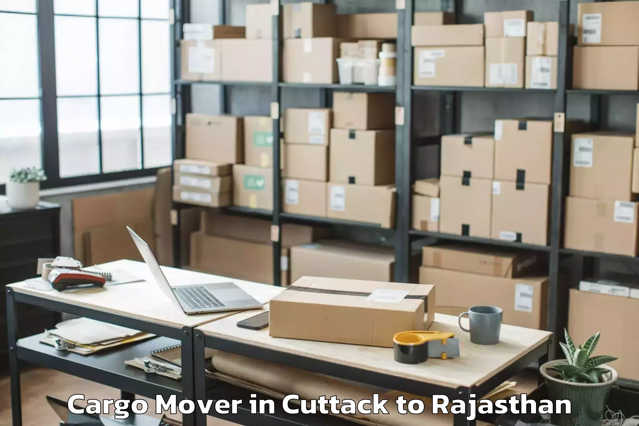 Easy Cuttack to Pacific University India Udaip Cargo Mover Booking